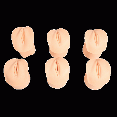 產(chǎn)前宮頸變化與產(chǎn)道關系模型